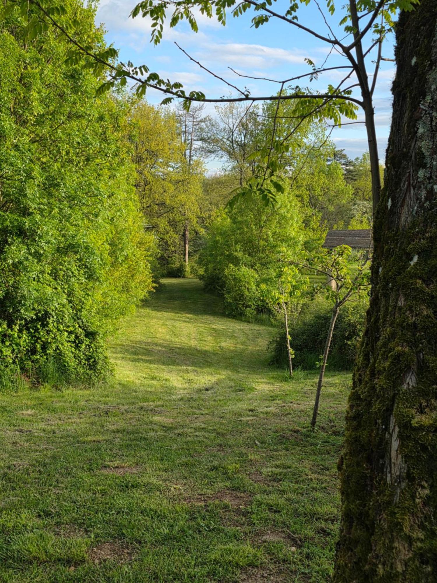 Chateau De Pourpry Damiatte Exteriör bild