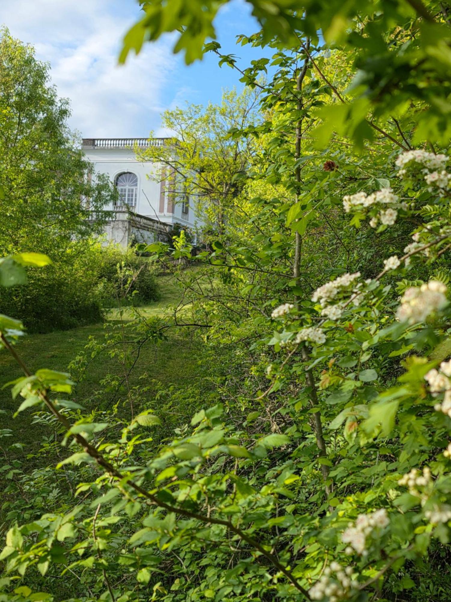 Chateau De Pourpry Damiatte Exteriör bild